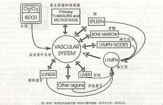 QQ截圖20170510151655.jpg