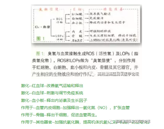 高劑量高壓臭氧生物學(xué)功能與最佳適應(yīng)癥2.png