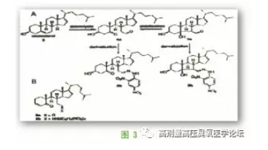 高劑量高壓臭氧生物學功能與最佳適應癥6.png