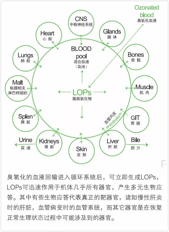 HOT治療丘疹樣蕁麻疹一例報告6.jpg