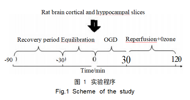 圖片.png